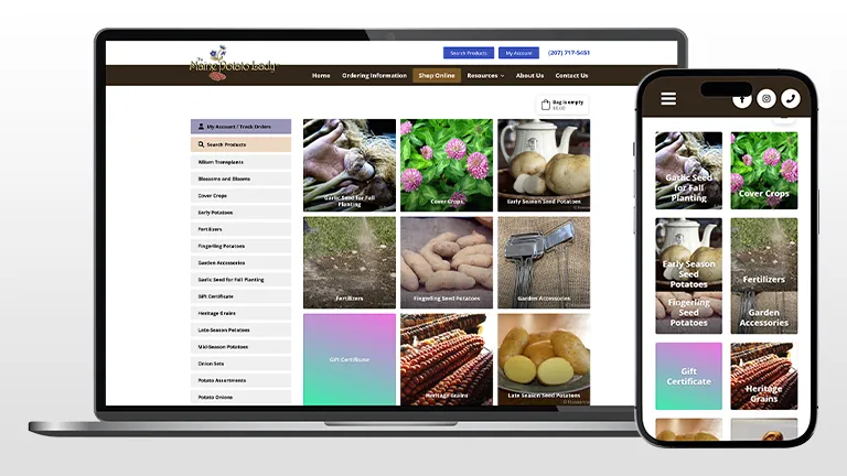 E-commerce Website Designs